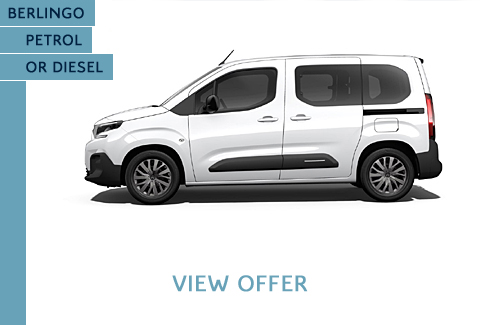 Berlingo Petrol or Diesel